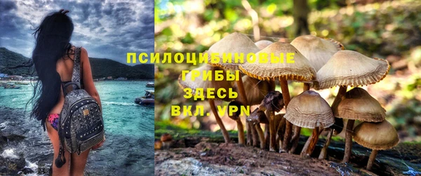 мяу мяу кристалл Армянск